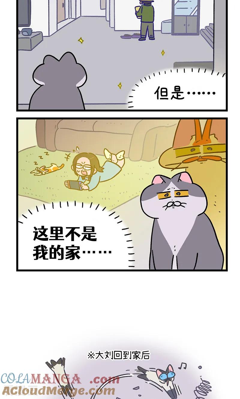 第154话2如果交换身体的话5-阿满和麦茶-新漫画 日胖大海寺（第6张）