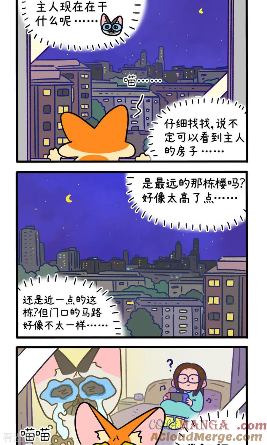 第155话1如果交换身体的话6-阿满和麦茶-新漫画 日胖大海寺（第2张）
