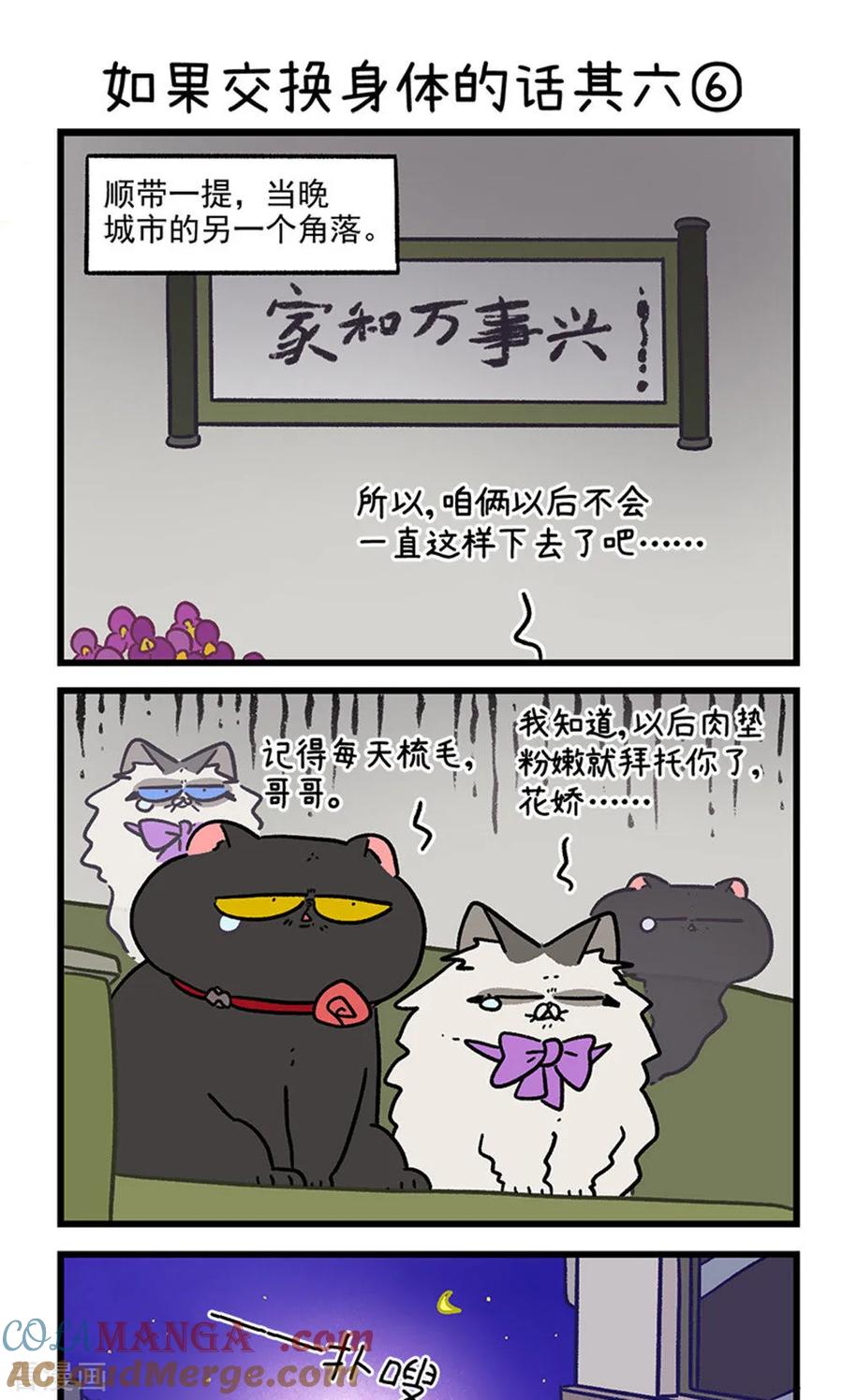 第155话2如果交换身体的话6-阿满和麦茶-新漫画 日胖大海寺（第5张）