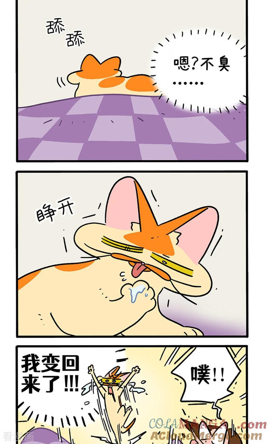 第155话2如果交换身体的话6-阿满和麦茶-新漫画 日胖大海寺（第2张）