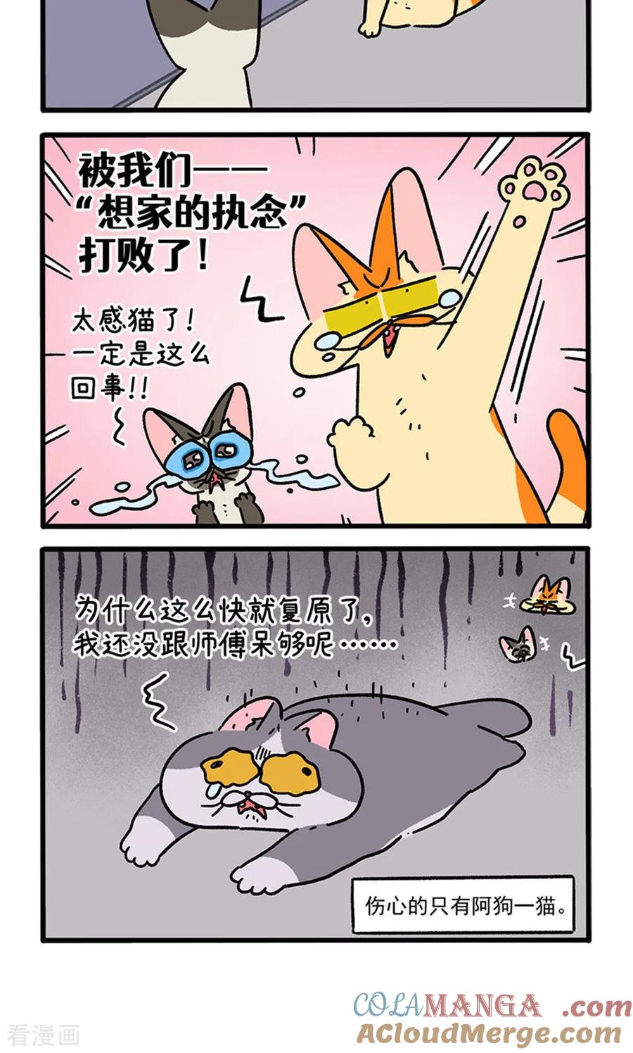 第155话2如果交换身体的话6-阿满和麦茶-新漫画 日胖大海寺（第4张）