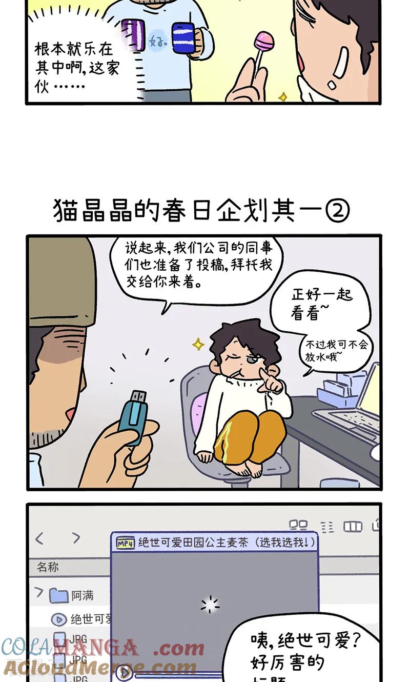 第156话1猫晶晶的春日企划1-阿满和麦茶-新漫画 日胖大海寺（第3张）