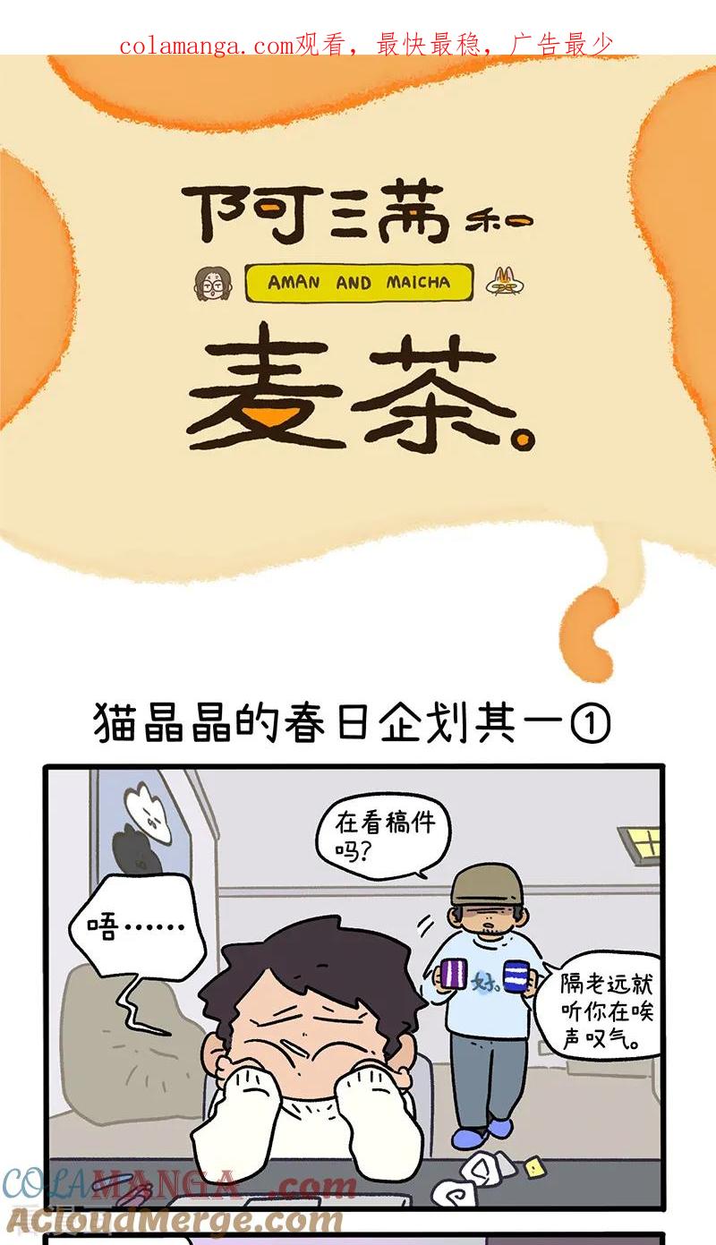 第156话1猫晶晶的春日企划1-阿满和麦茶-新漫画 日胖大海寺（第1张）