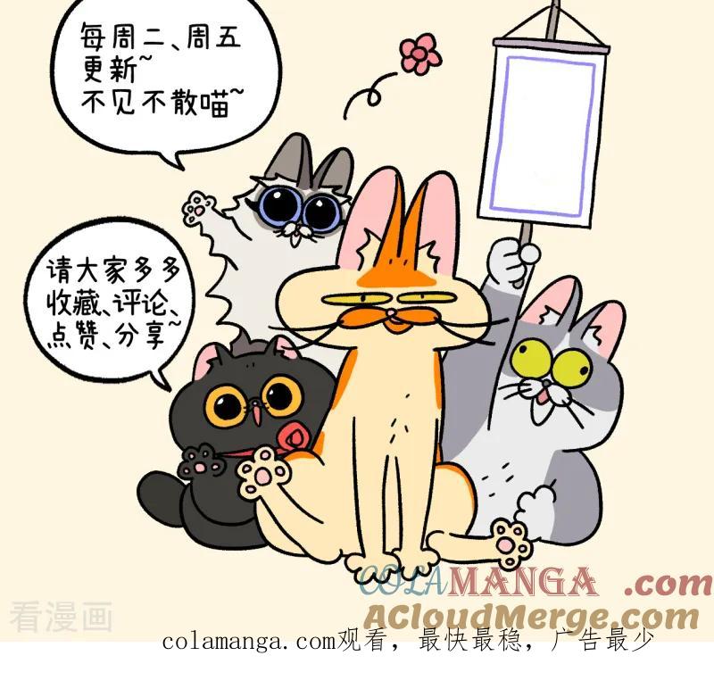 第156话1猫晶晶的春日企划1-阿满和麦茶-新漫画 日胖大海寺（第8张）