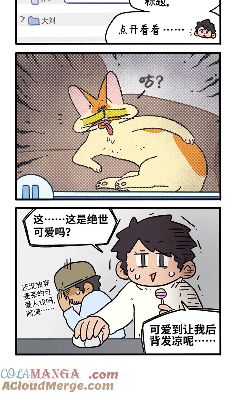 第156话1猫晶晶的春日企划1-阿满和麦茶-新漫画 日胖大海寺（第4张）