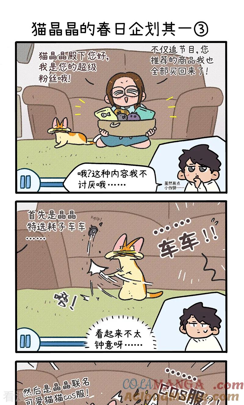第156话1猫晶晶的春日企划1-阿满和麦茶-新漫画 日胖大海寺（第5张）