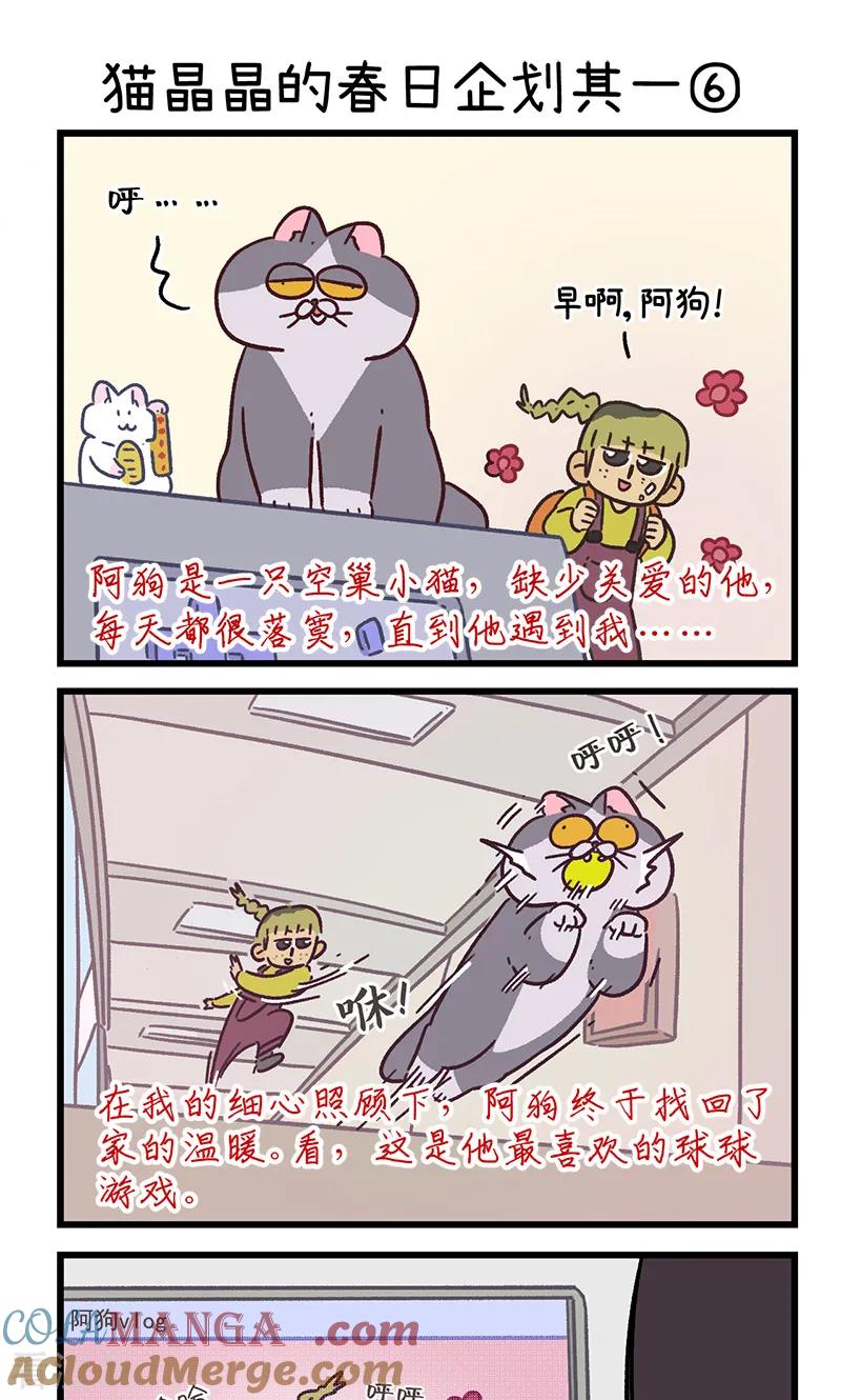 第156话2猫晶晶的春日企划1-阿满和麦茶-新漫画 日胖大海寺（第5张）