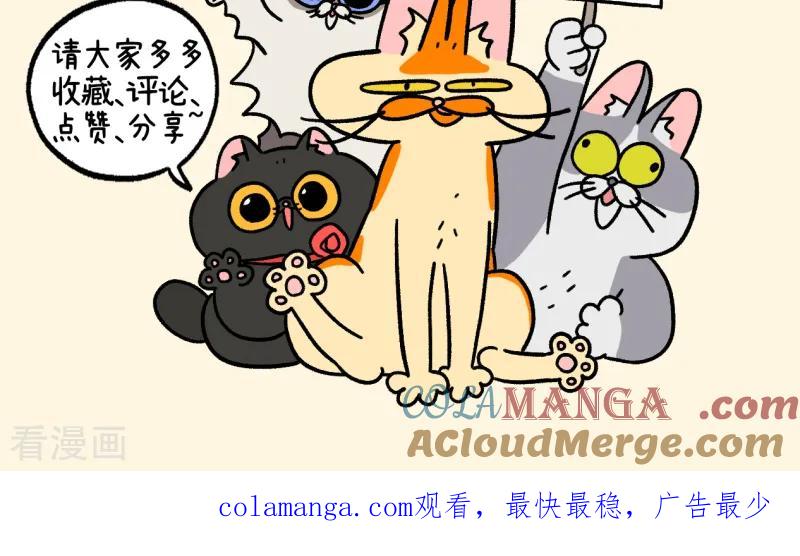 第156话2猫晶晶的春日企划1-阿满和麦茶-新漫画 日胖大海寺（第9张）