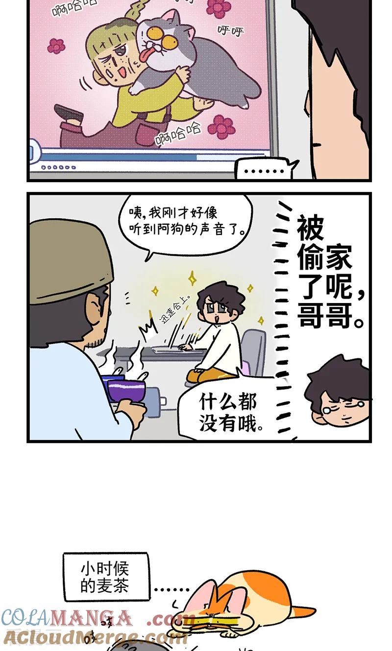 第156话2猫晶晶的春日企划1-阿满和麦茶-新漫画 日胖大海寺（第6张）