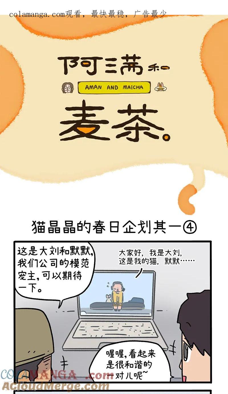 第156话2猫晶晶的春日企划1-阿满和麦茶-新漫画 日胖大海寺（第1张）