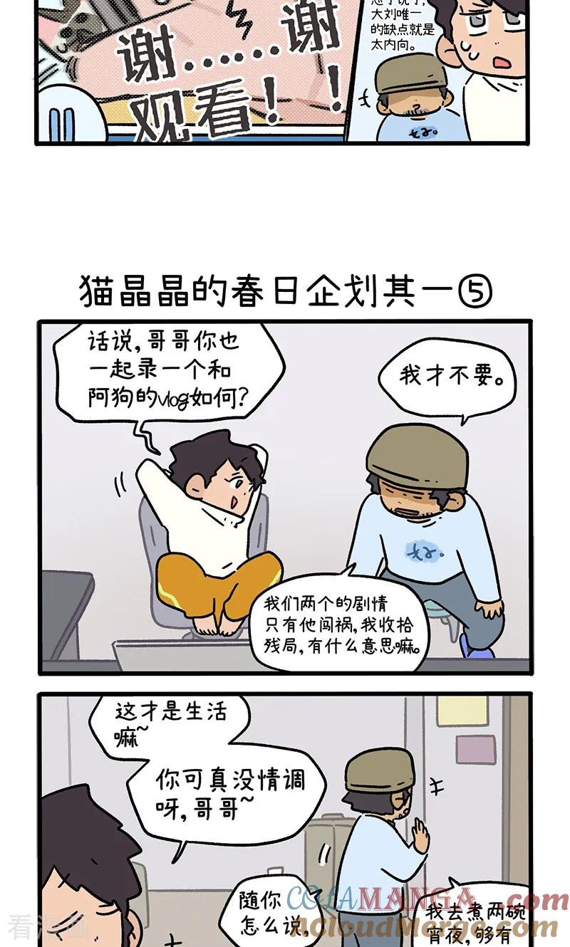 第156话2猫晶晶的春日企划1-阿满和麦茶-新漫画 日胖大海寺（第3张）