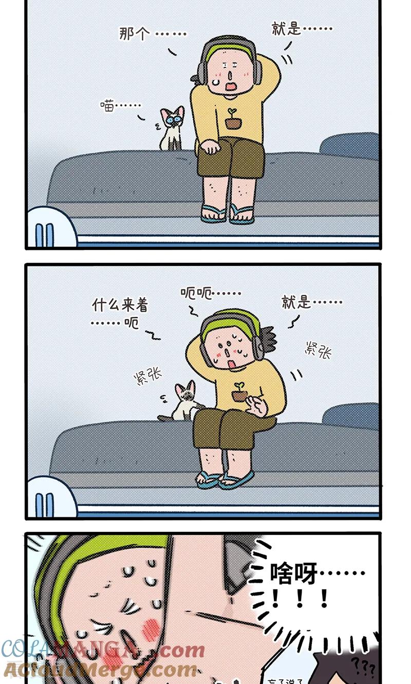 第156话2猫晶晶的春日企划1-阿满和麦茶-新漫画 日胖大海寺（第2张）