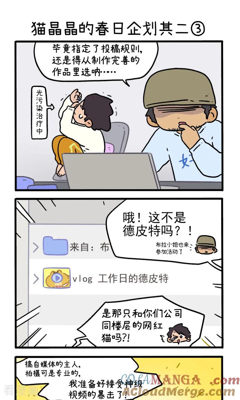 第157话1猫晶晶的春日企划2-阿满和麦茶-新漫画 日胖大海寺（第5张）