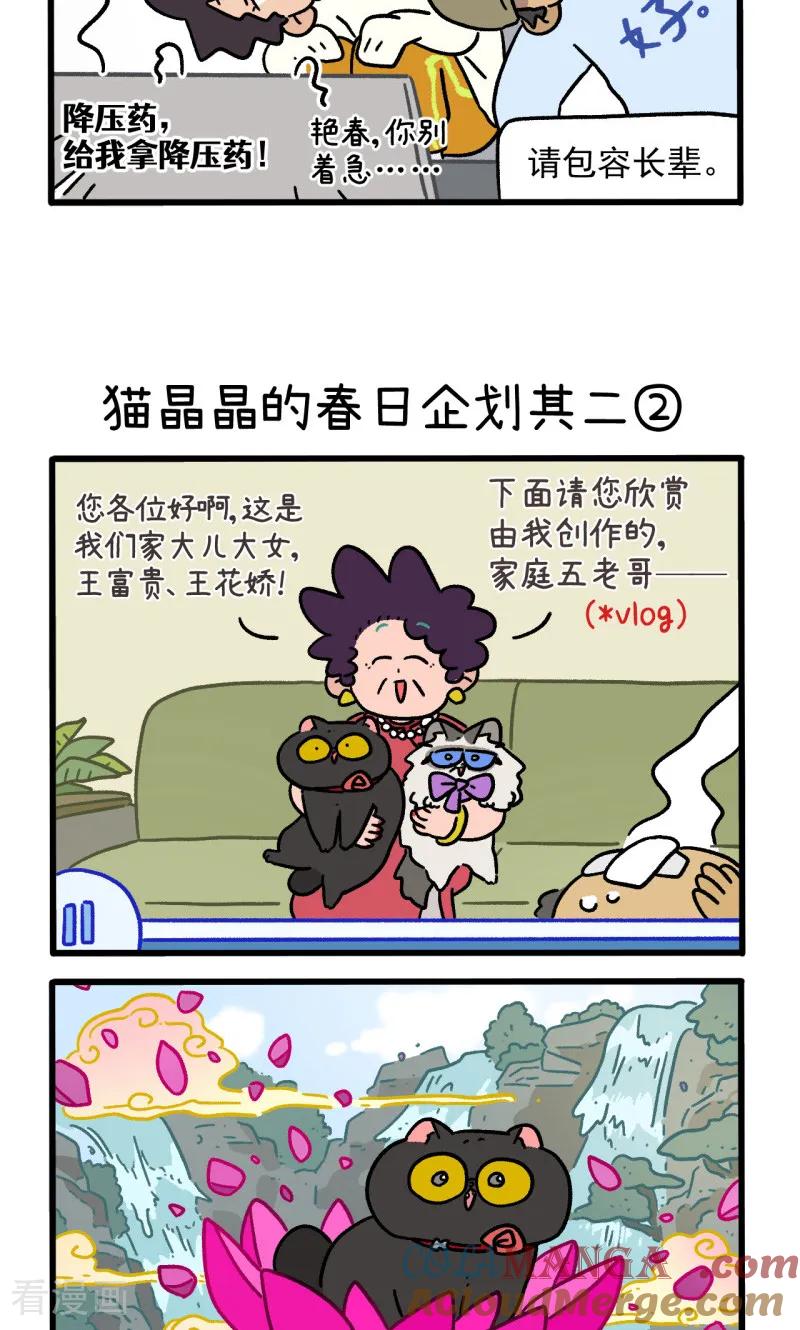 第157话1猫晶晶的春日企划2-阿满和麦茶-新漫画 日胖大海寺（第3张）
