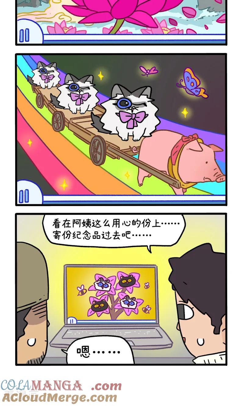 第157话1猫晶晶的春日企划2-阿满和麦茶-新漫画 日胖大海寺（第4张）