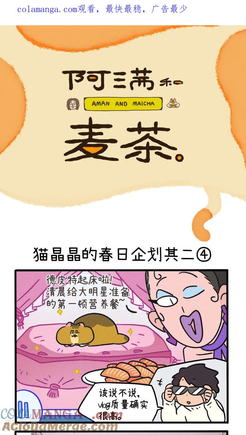 第157话2猫晶晶的春日企划2-阿满和麦茶-新漫画 日胖大海寺（第1张）