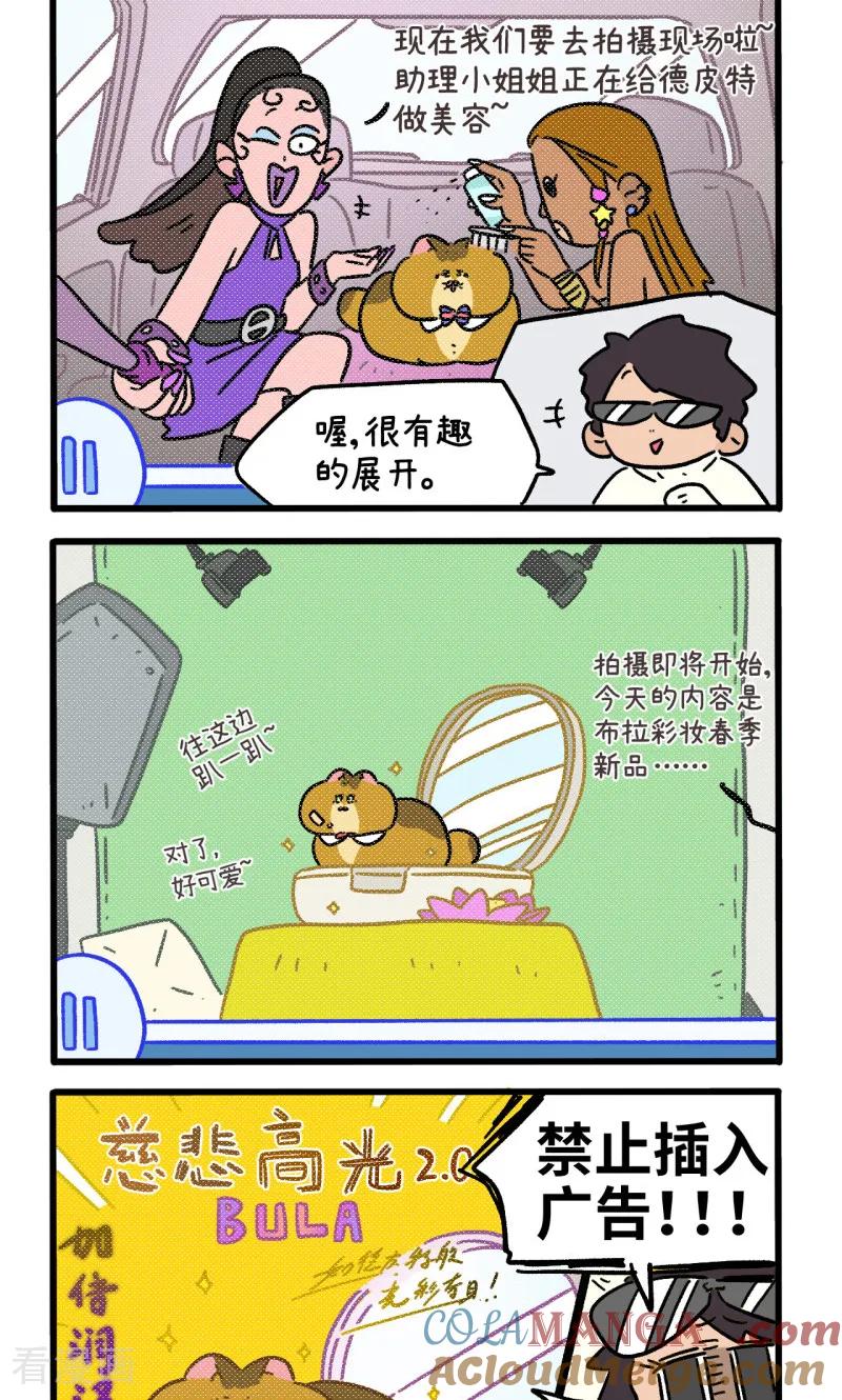 第157话2猫晶晶的春日企划2-阿满和麦茶-新漫画 日胖大海寺（第2张）