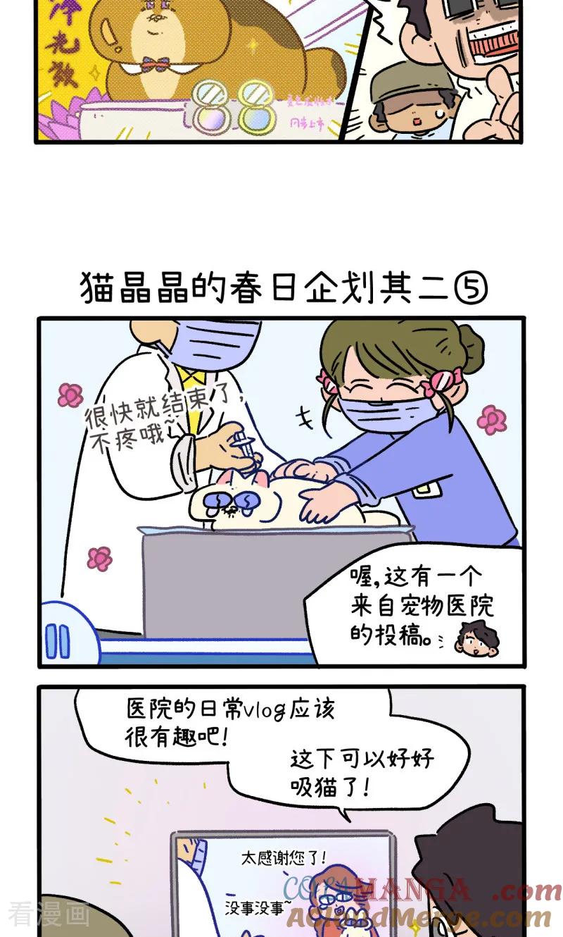 第157话2猫晶晶的春日企划2-阿满和麦茶-新漫画 日胖大海寺（第3张）