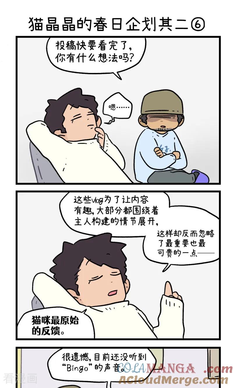 第157话2猫晶晶的春日企划2-阿满和麦茶-新漫画 日胖大海寺（第5张）