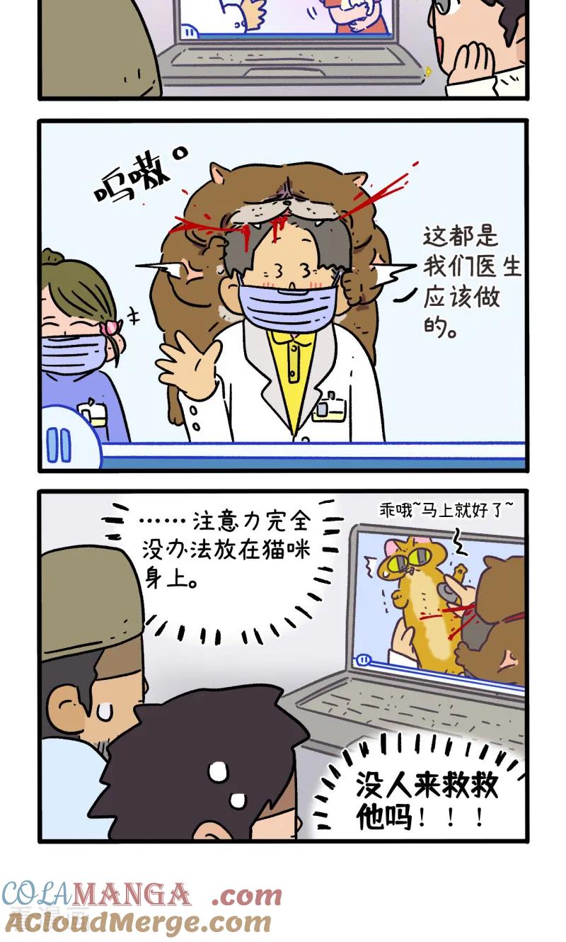 第157话2猫晶晶的春日企划2-阿满和麦茶-新漫画 日胖大海寺（第4张）