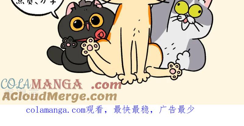 第157话2猫晶晶的春日企划2-阿满和麦茶-新漫画 日胖大海寺（第10张）