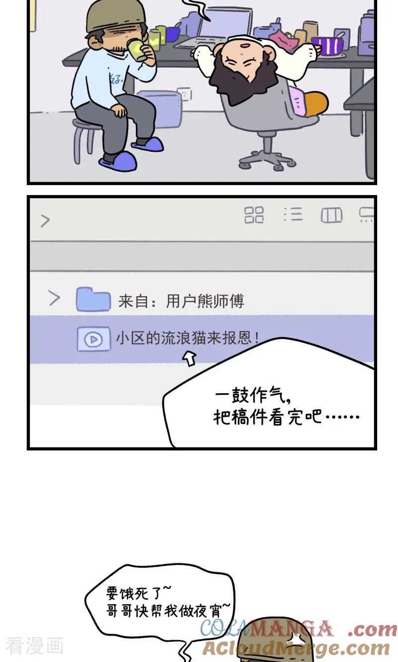 第157话2猫晶晶的春日企划2-阿满和麦茶-新漫画 日胖大海寺（第6张）