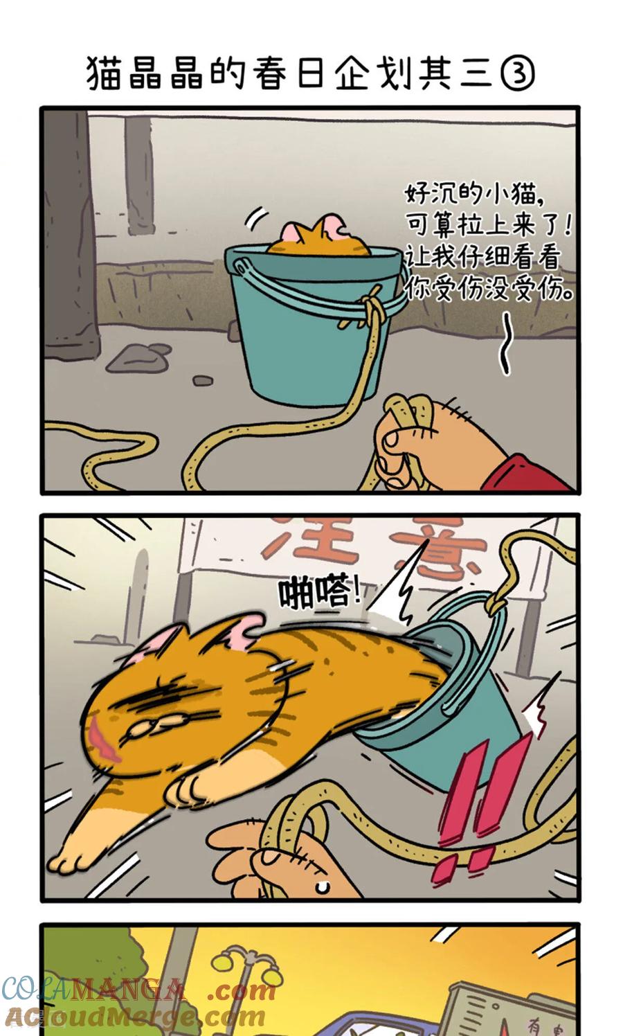 第158话1猫晶晶的春日企划3-阿满和麦茶-新漫画 日胖大海寺（第5张）
