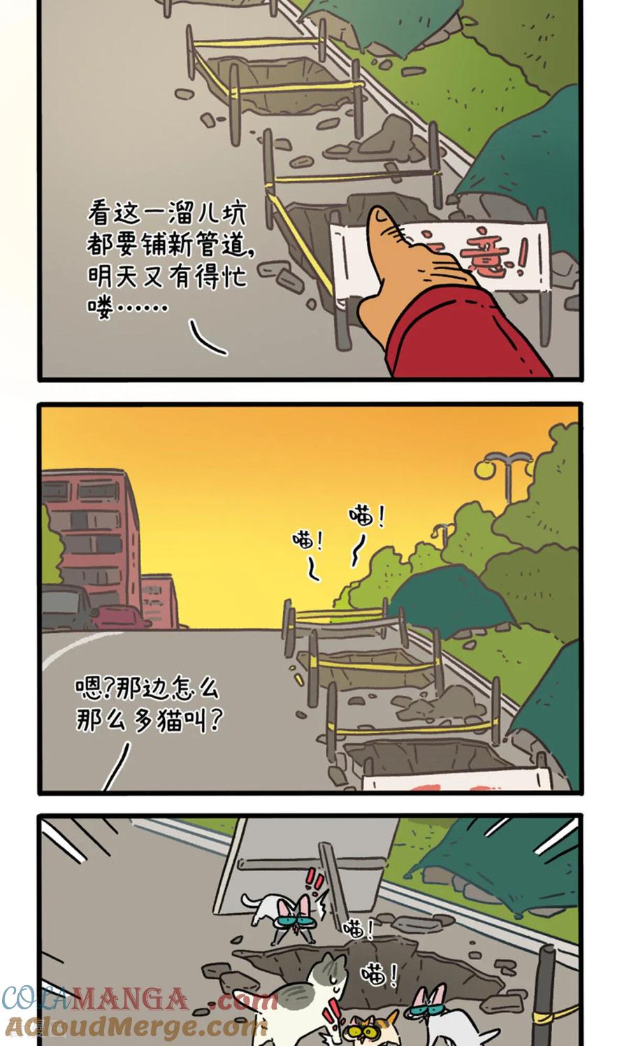 第158话1猫晶晶的春日企划3-阿满和麦茶-新漫画 日胖大海寺（第2张）
