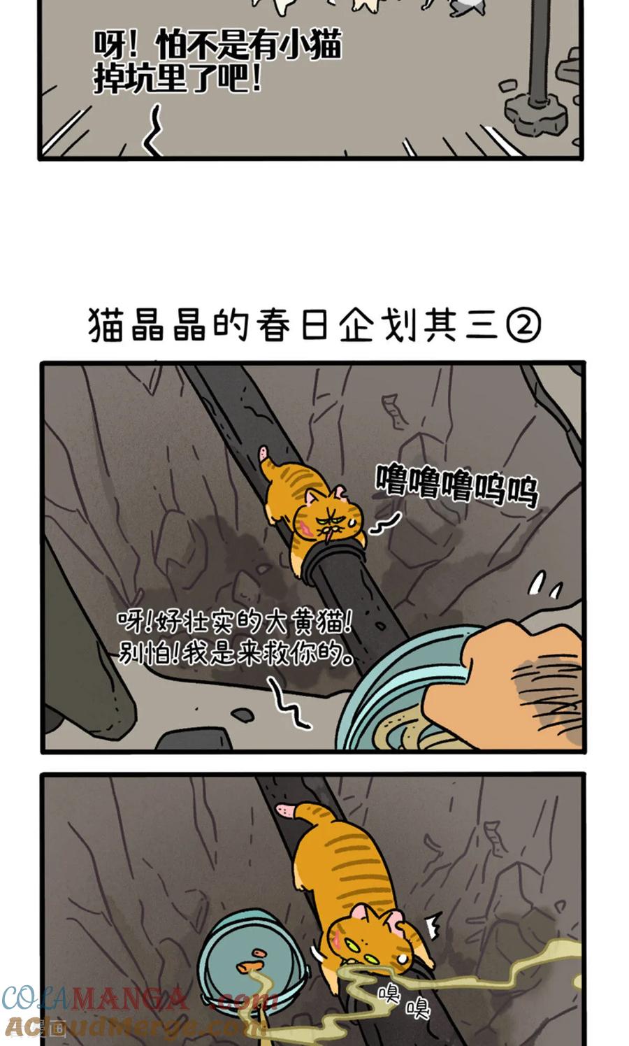 第158话1猫晶晶的春日企划3-阿满和麦茶-新漫画 日胖大海寺（第3张）