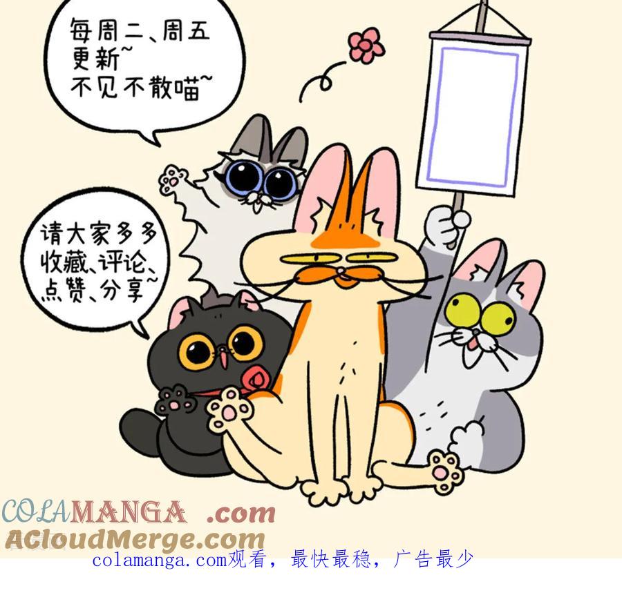 第158话1猫晶晶的春日企划3-阿满和麦茶-新漫画 日胖大海寺（第8张）