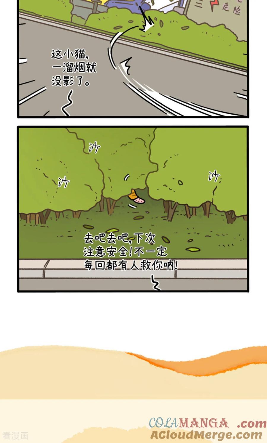 第158话1猫晶晶的春日企划3-阿满和麦茶-新漫画 日胖大海寺（第6张）