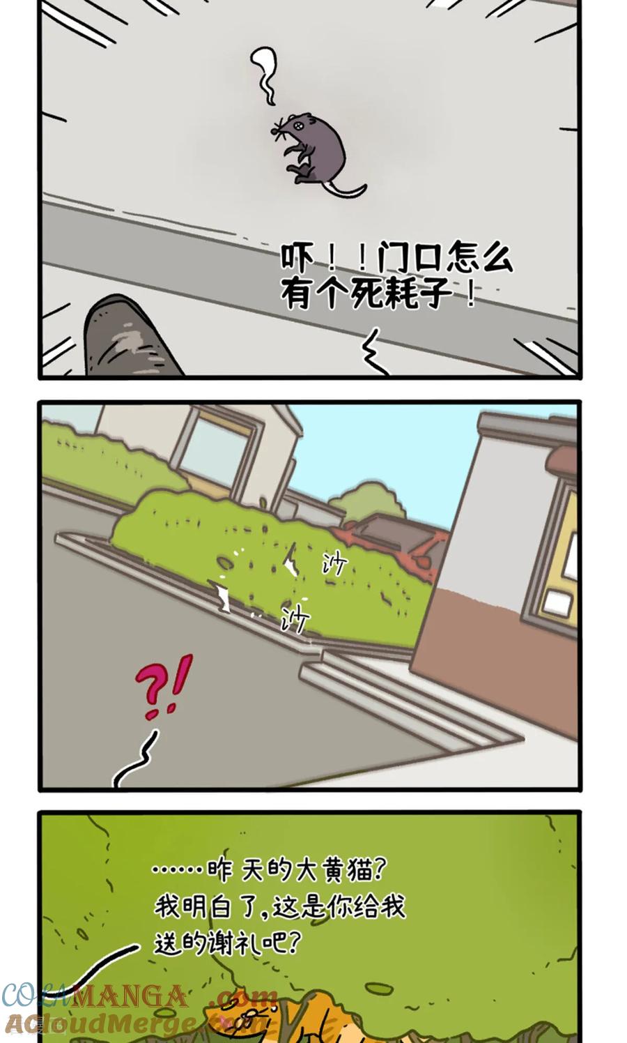 第158话2猫晶晶的春日企划3-阿满和麦茶-新漫画 日胖大海寺（第2张）