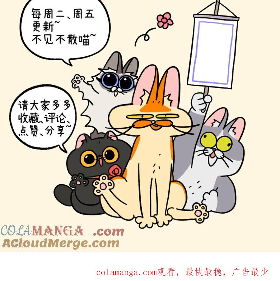第158话2猫晶晶的春日企划3-阿满和麦茶-新漫画 日胖大海寺（第8张）