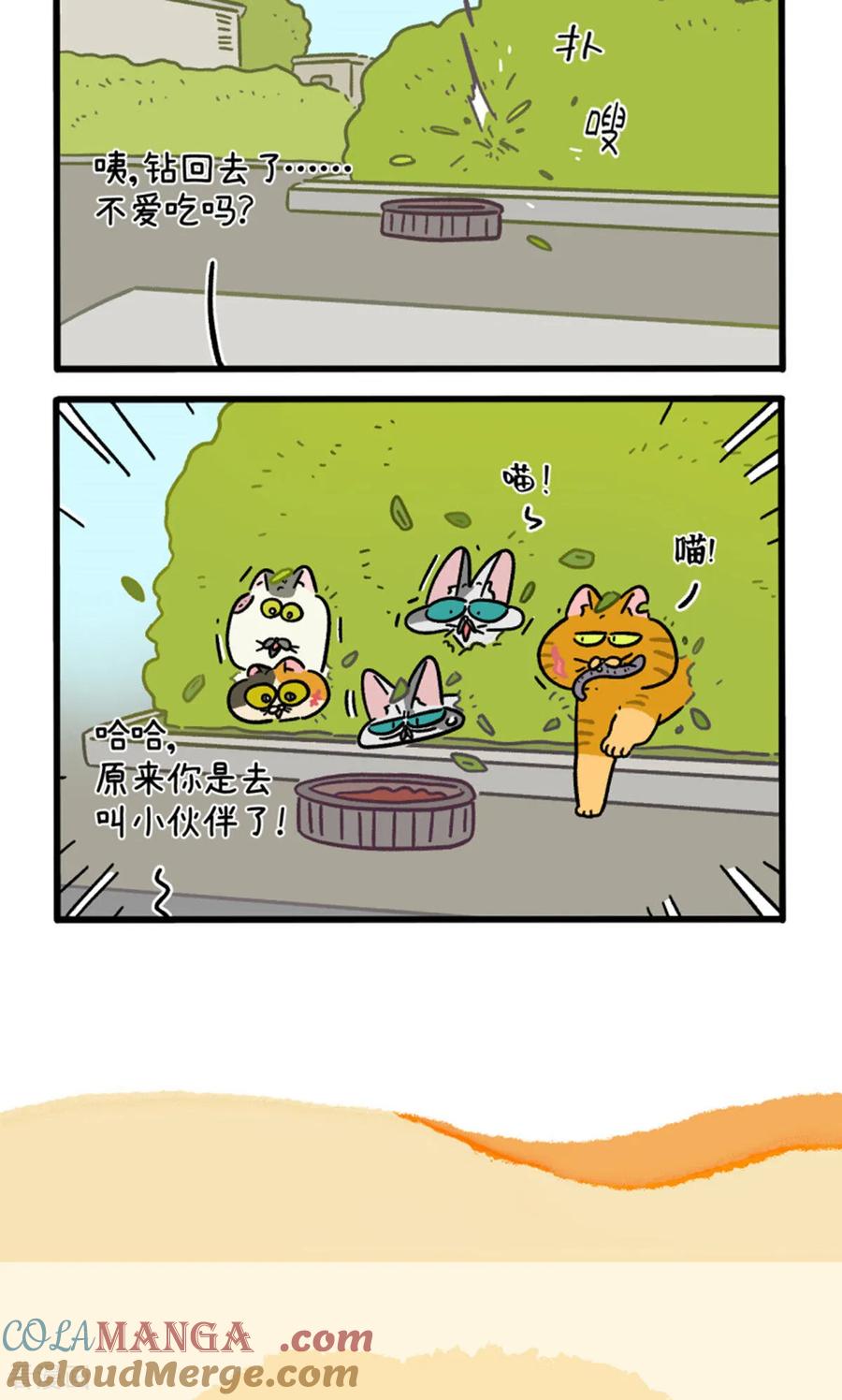 第158话2猫晶晶的春日企划3-阿满和麦茶-新漫画 日胖大海寺（第6张）