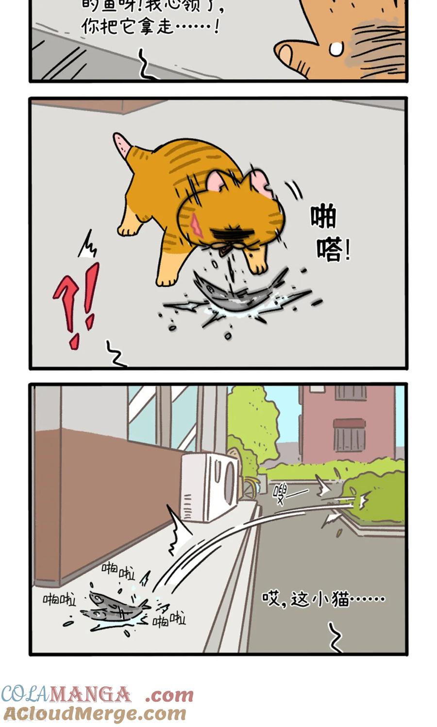 第158话2猫晶晶的春日企划3-阿满和麦茶-新漫画 日胖大海寺（第4张）