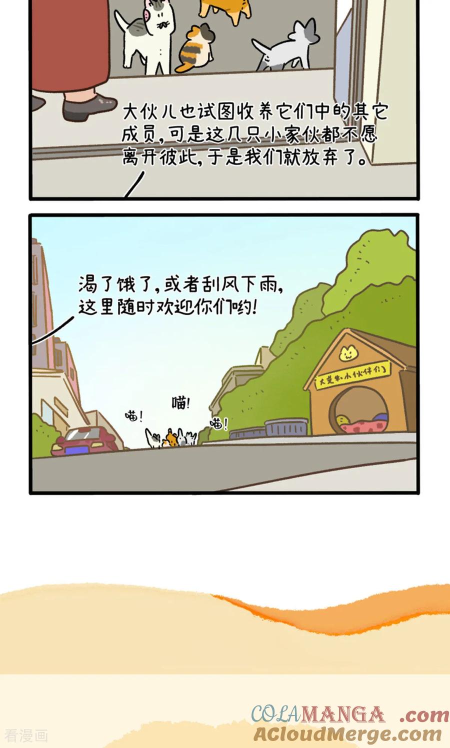 第158话3猫晶晶的春日企划3-阿满和麦茶-新漫画 日胖大海寺（第6张）