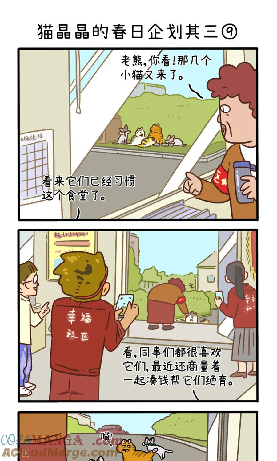 第158话3猫晶晶的春日企划3-阿满和麦茶-新漫画 日胖大海寺（第5张）