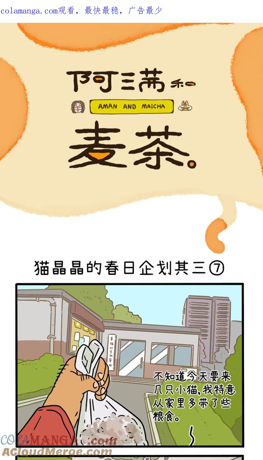 第158话3猫晶晶的春日企划3-阿满和麦茶-新漫画 日胖大海寺（第1张）
