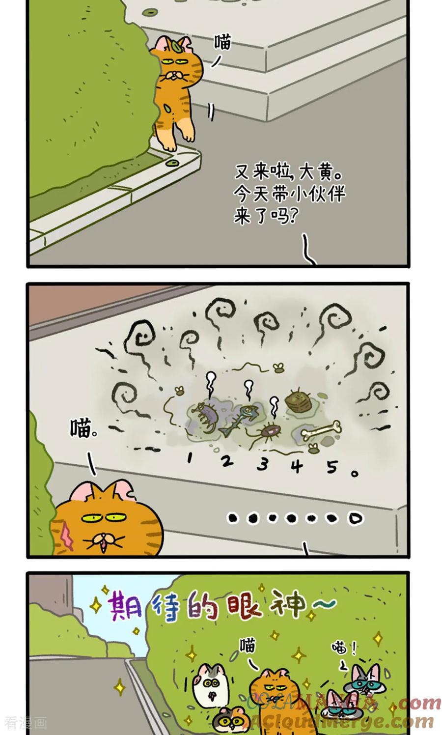 第158话3猫晶晶的春日企划3-阿满和麦茶-新漫画 日胖大海寺（第2张）
