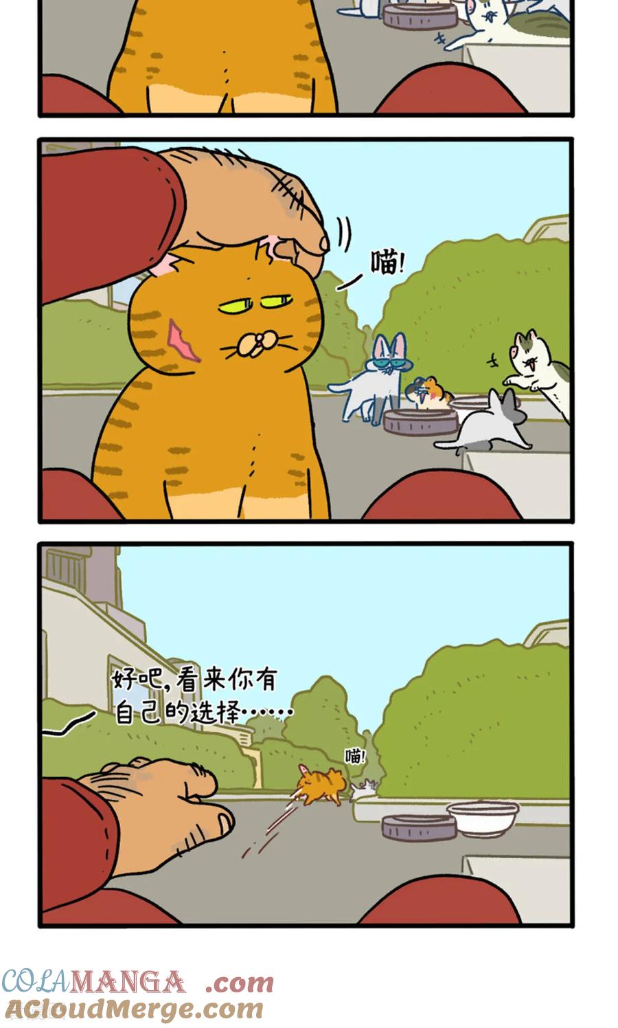 第158话3猫晶晶的春日企划3-阿满和麦茶-新漫画 日胖大海寺（第4张）