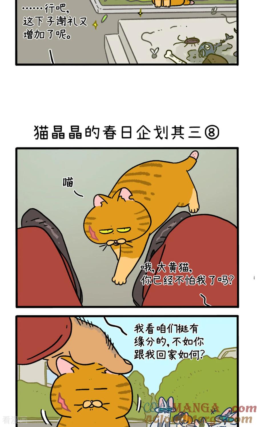 第158话3猫晶晶的春日企划3-阿满和麦茶-新漫画 日胖大海寺（第3张）