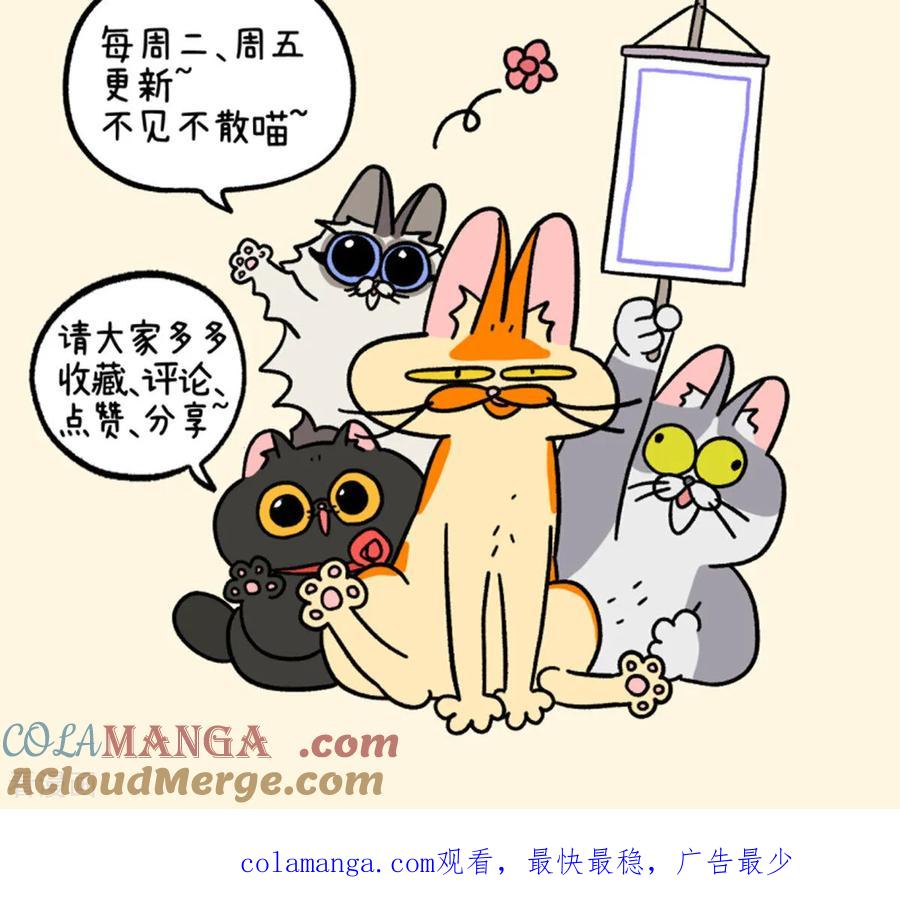 第158话3猫晶晶的春日企划3-阿满和麦茶-新漫画 日胖大海寺（第8张）