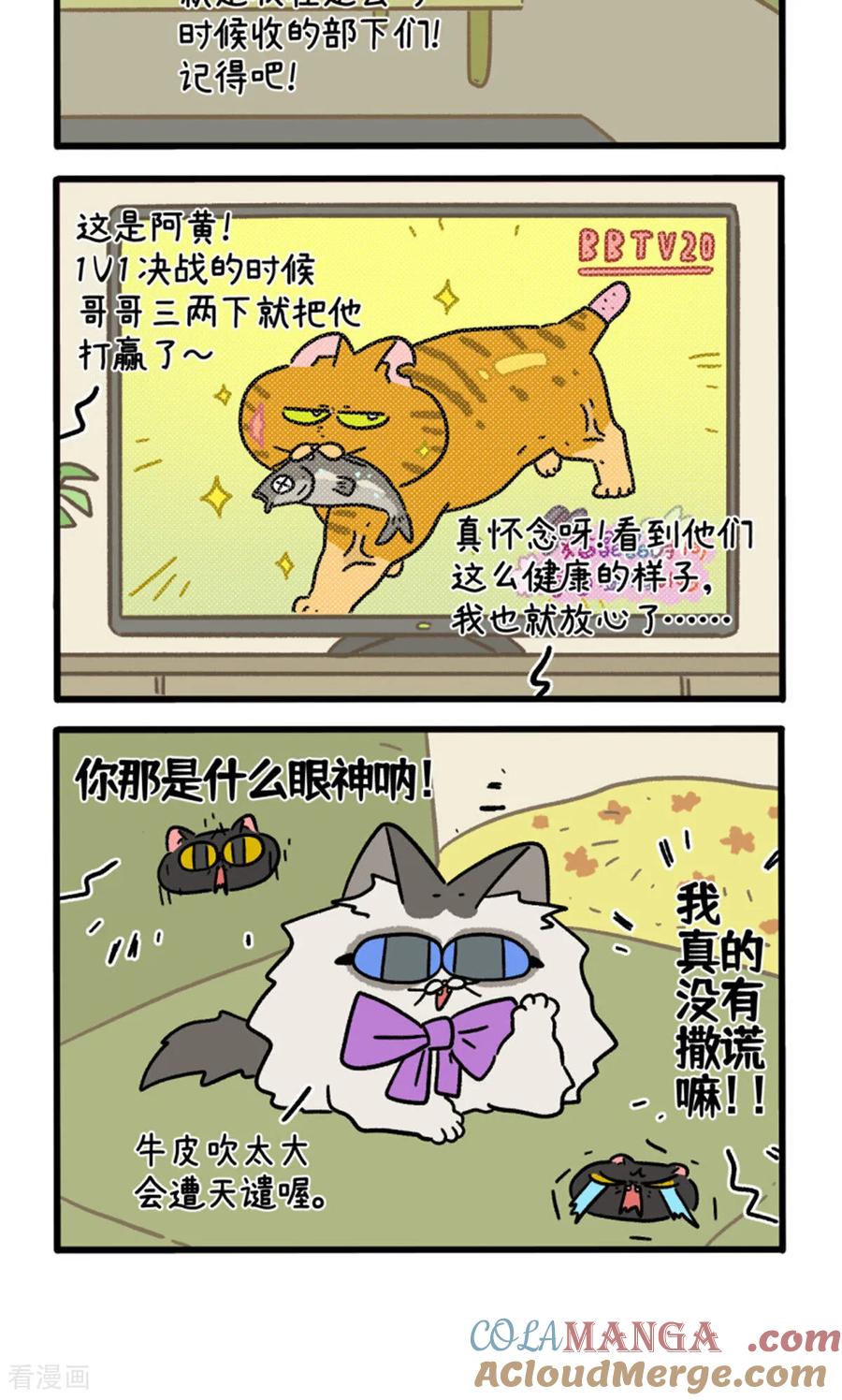 第158话4猫晶晶的春日企划3-阿满和麦茶-新漫画 日胖大海寺（第4张）