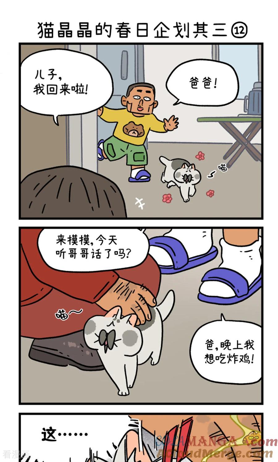 第158话4猫晶晶的春日企划3-阿满和麦茶-新漫画 日胖大海寺（第5张）