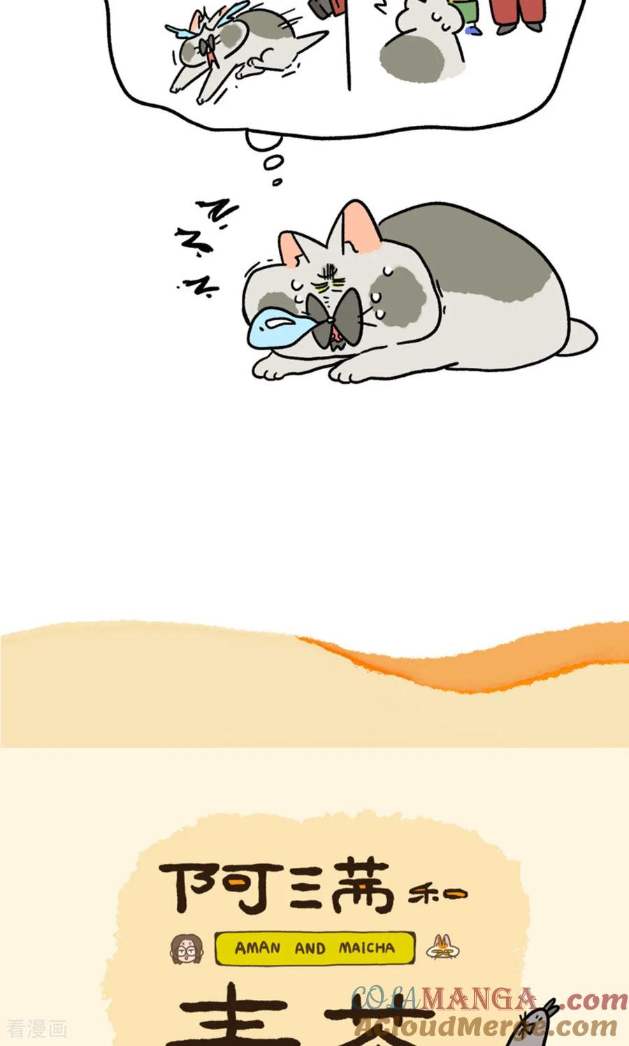 第158话4猫晶晶的春日企划3-阿满和麦茶-新漫画 日胖大海寺（第7张）