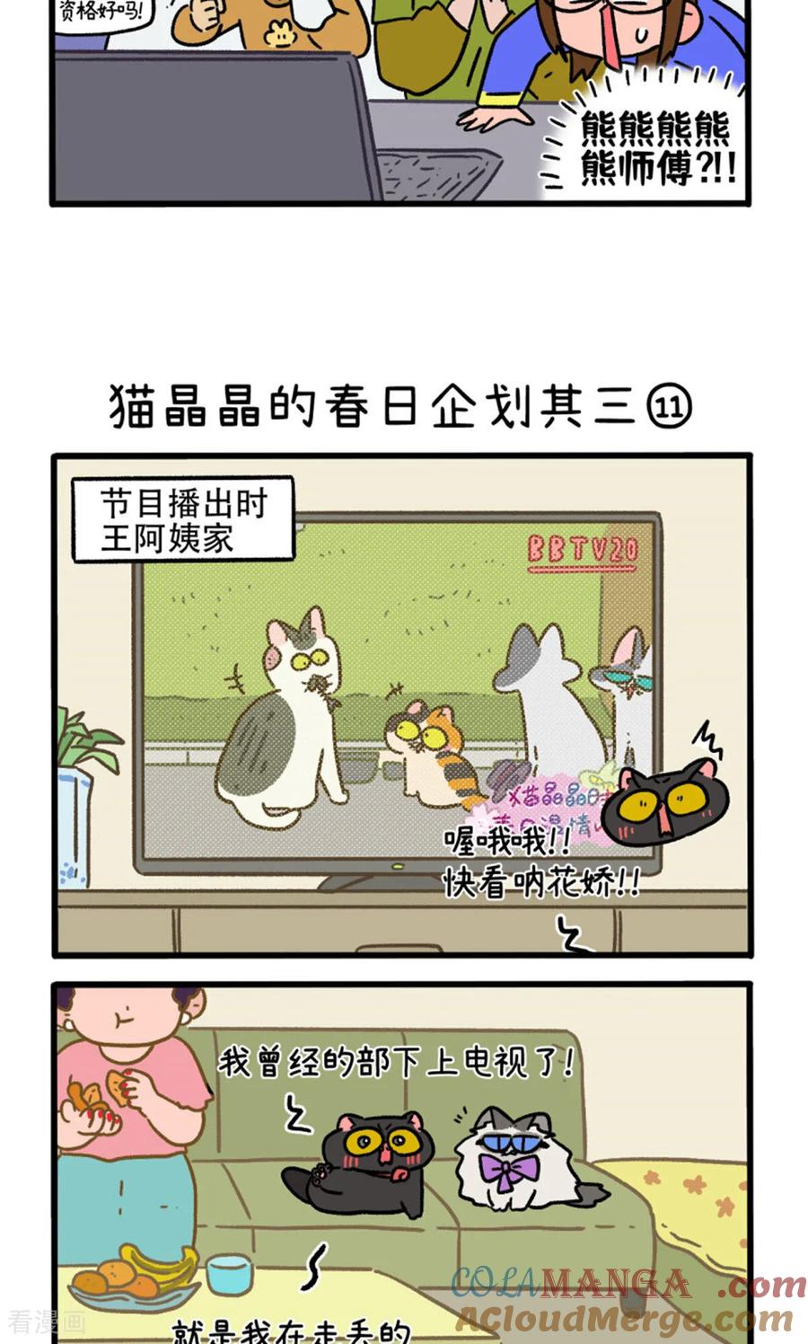 第158话4猫晶晶的春日企划3-阿满和麦茶-新漫画 日胖大海寺（第3张）