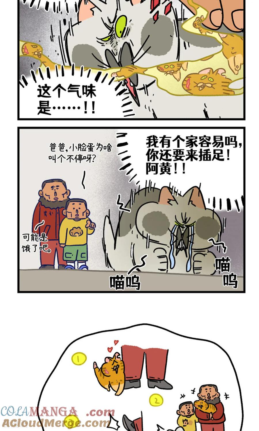 第158话4猫晶晶的春日企划3-阿满和麦茶-新漫画 日胖大海寺（第6张）
