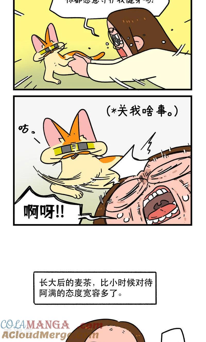 第159话2春天到了先躺下再说-阿满和麦茶-新漫画 日胖大海寺（第6张）
