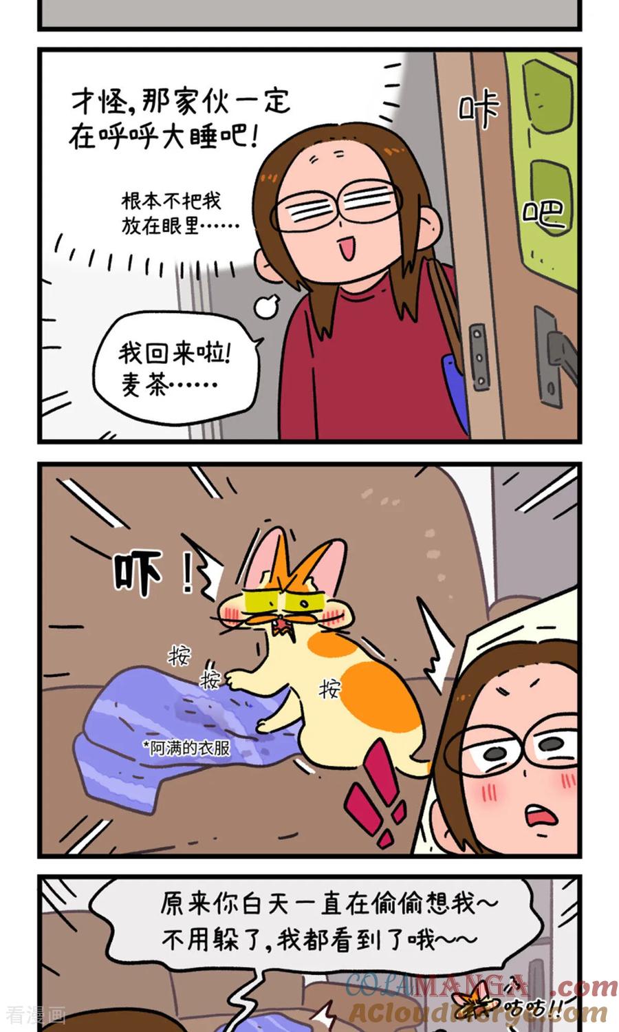 第160话-阿满和麦茶-新漫画 日胖大海寺（第5张）