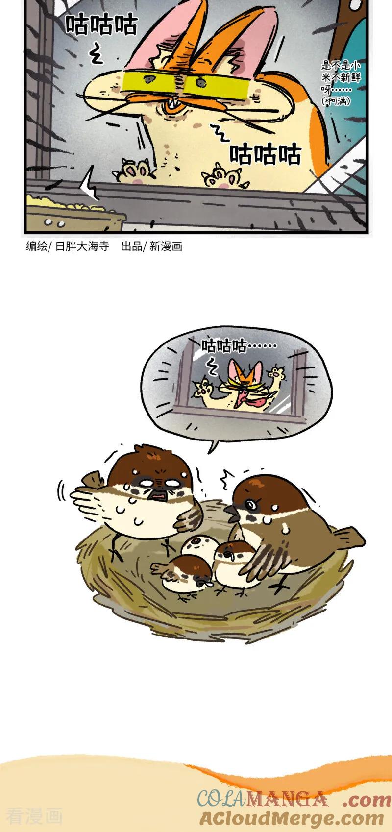 第161话-阿满和麦茶-新漫画 日胖大海寺（第2张）